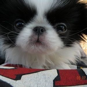 Meet your Posher, Cynthia